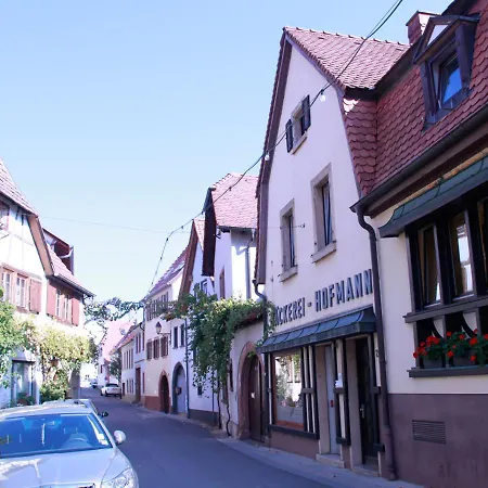 Ferienwohnung „Brot & Wein” Neustadt an der Weinstraße Extérieur photo